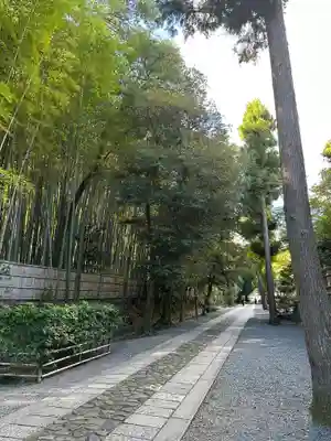 大徳寺(京都府)