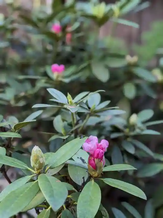 倶梨迦羅神社(長野県)