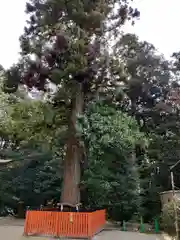 鷺森神社(京都府)