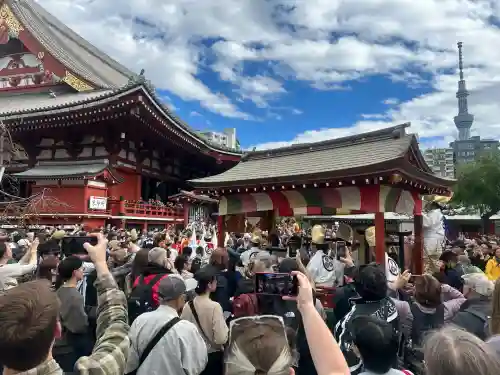 浅草寺のお祭り