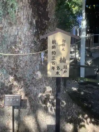 八王子神社の自然