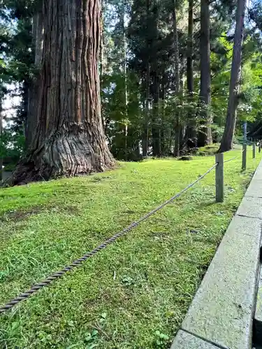 中尊寺金色堂(岩手県)