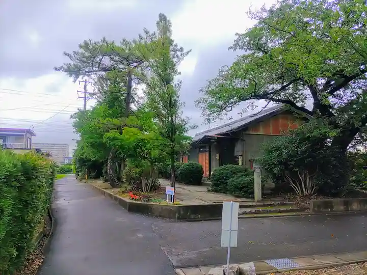 津嶋社(長角)の自然