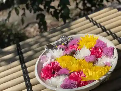 徳星寺(埼玉県)