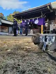 下新倉氷川八幡神社(埼玉県)