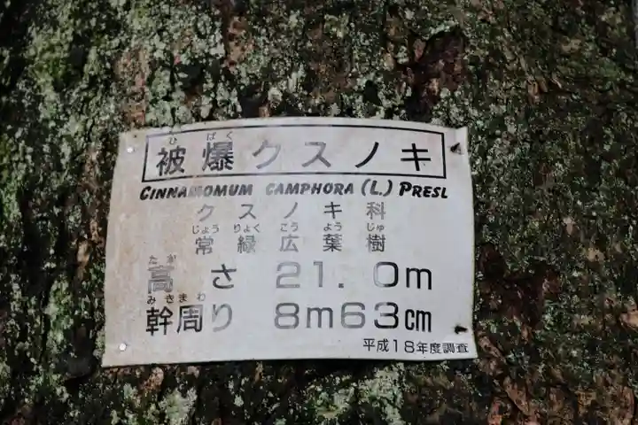 山王神社の自然