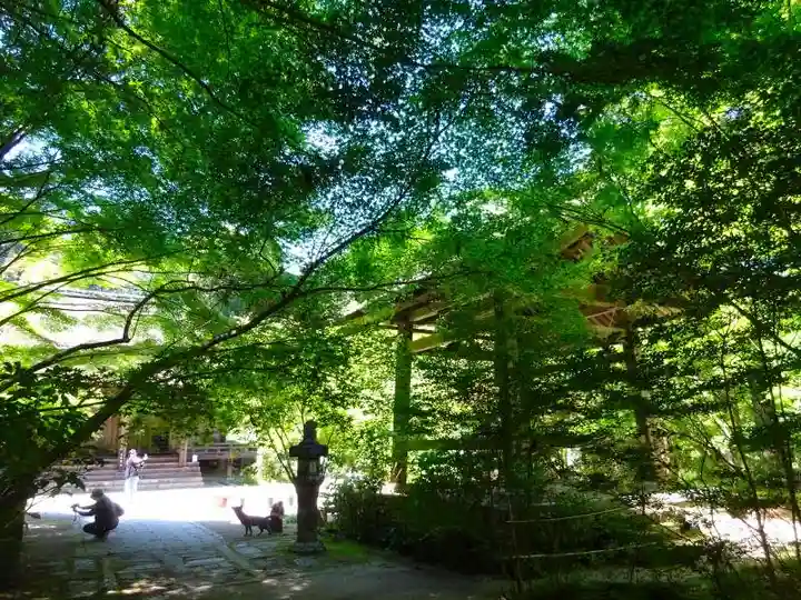国宝 長寿寺(滋賀県)