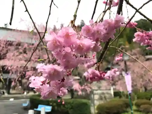 身延山 祖廟拝殿(山梨県)