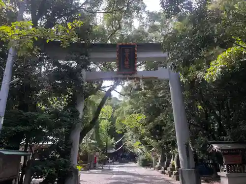 若宮八幡宮(高知県)