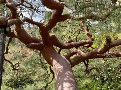城南宮(京都府)