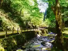 永平寺の自然