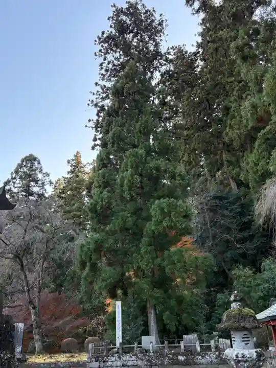 妙義神社(群馬県)