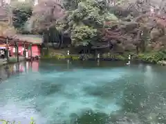 富士山本宮浅間大社(静岡県)