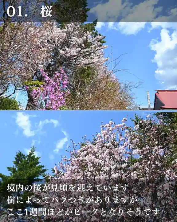 宝光寺(北海道)