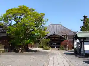 城官寺の本殿・本堂