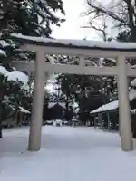 顕勲神社(旭川神社)の鳥居