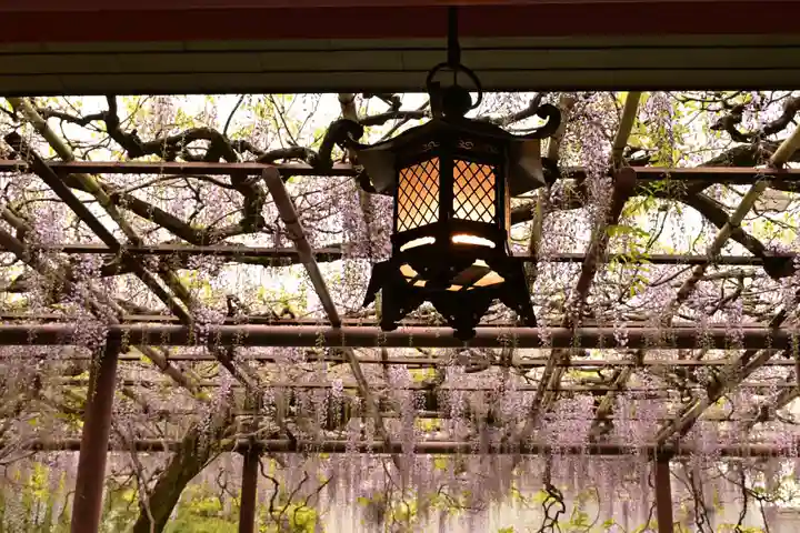 笠間稲荷神社(茨城県)
