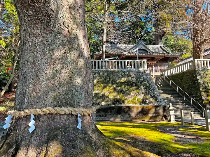 事任八幡宮のその他建物