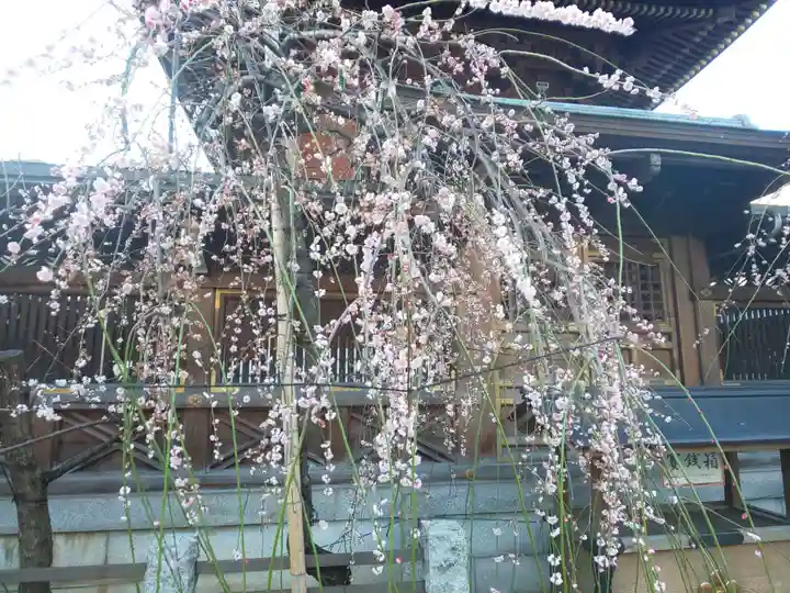 湯島天満宮の自然