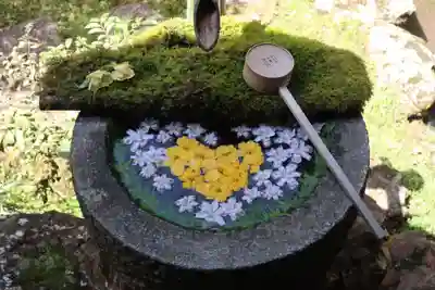 柳谷観音　楊谷寺(京都府)