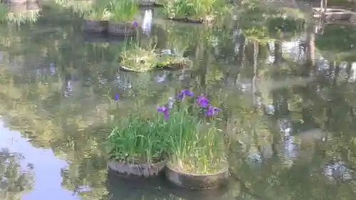 香椎宮(福岡県)