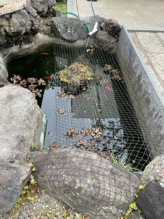 善慶寺の{uncategorized: "未分類", other: "その他", undefined: "問題あり", building: "その他建物", grave: "お墓", sacred_gate: "鳥居", guardian: "狛犬", statue: "像", buddha: "仏像", history: "歴史", nature: "自然", garden: "庭園", animal: "動物", pagoda: "塔", temizu: "手水舎", mountain_gate: "山門・神門", sanctuary: "本殿・本堂", subordinate: "末社・摂社", art: "芸術", scenery: "景色", jizo: "地蔵", ema: "絵馬", goshuin: "御朱印", omikuji: "おみくじ", items: "授与品その他", amulet: "お守り", goshuincho: "御朱印帳", eats: "食事", festival: "お祭り", votive_dance: "神楽", shichigosan: "七五三参", wedding: "結婚式", experience: "体験その他", initially: "初詣", around: "周辺", anti_infection: "感染症対策"}