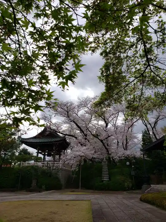 福蔵院(東京都)