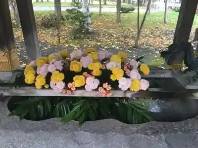 彌彦神社　(伊夜日子神社)の手水舎