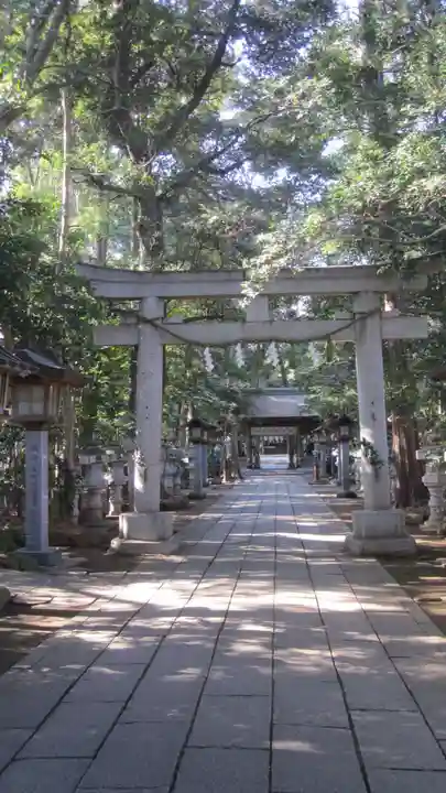 駒木諏訪神社(千葉県)