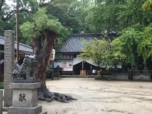 旭神社のお墓