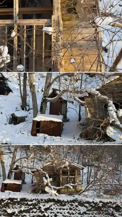 高宮神社の{uncategorized: "未分類", other: "その他", undefined: "問題あり", building: "その他建物", grave: "お墓", sacred_gate: "鳥居", guardian: "狛犬", statue: "像", buddha: "仏像", history: "歴史", nature: "自然", garden: "庭園", animal: "動物", pagoda: "塔", temizu: "手水舎", mountain_gate: "山門・神門", sanctuary: "本殿・本堂", subordinate: "末社・摂社", art: "芸術", scenery: "景色", jizo: "地蔵", ema: "絵馬", goshuin: "御朱印", omikuji: "おみくじ", items: "授与品その他", amulet: "お守り", goshuincho: "御朱印帳", eats: "食事", festival: "お祭り", votive_dance: "神楽", shichigosan: "七五三参", wedding: "結婚式", experience: "体験その他", initially: "初詣", around: "周辺", anti_infection: "感染症対策"}