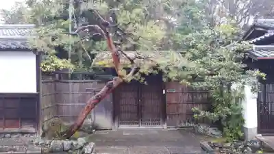 南禅寺のその他建物