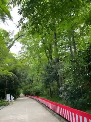 賀茂御祖神社（下鴨神社）のお祭り