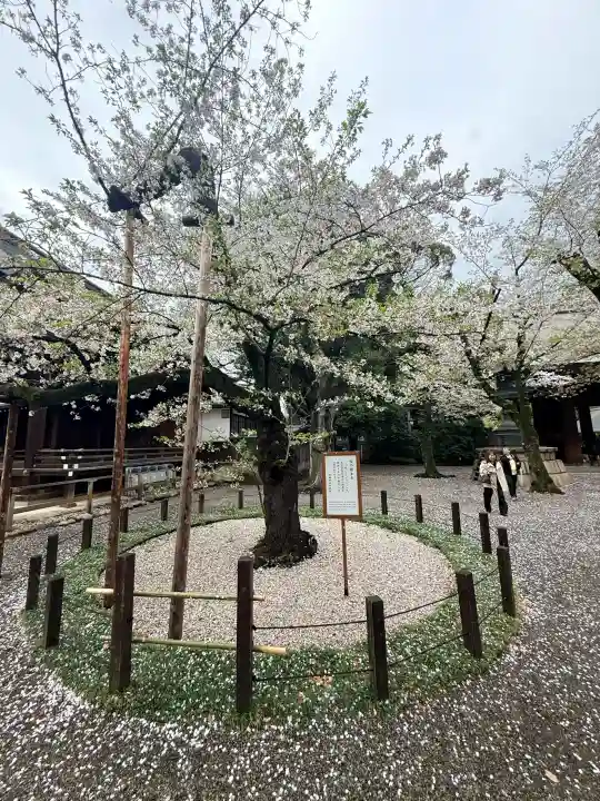 靖國神社の{uncategorized: "未分類", other: "その他", undefined: "問題あり", building: "その他建物", grave: "お墓", sacred_gate: "鳥居", guardian: "狛犬", statue: "像", buddha: "仏像", history: "歴史", nature: "自然", garden: "庭園", animal: "動物", pagoda: "塔", temizu: "手水舎", mountain_gate: "山門・神門", sanctuary: "本殿・本堂", subordinate: "末社・摂社", art: "芸術", scenery: "景色", jizo: "地蔵", ema: "絵馬", goshuin: "御朱印", omikuji: "おみくじ", items: "授与品その他", amulet: "お守り", goshuincho: "御朱印帳", eats: "食事", festival: "お祭り", votive_dance: "神楽", shichigosan: "七五三参", wedding: "結婚式", experience: "体験その他", initially: "初詣", around: "周辺", anti_infection: "感染症対策"}