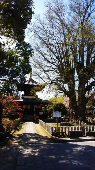 鑁阿寺のその他建物