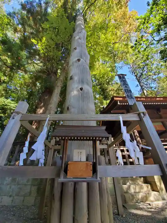 諏訪大社下社秋宮の自然