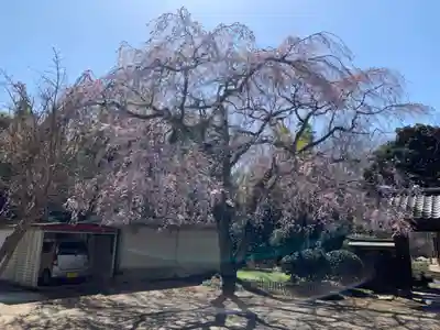 妙光寺(千葉県)