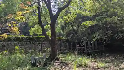 仲恭天皇　九條陵(京都府)