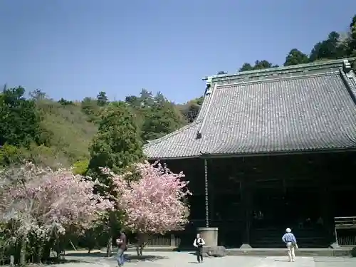 妙本寺の本殿・本堂