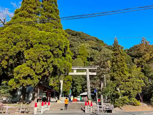 豊玉姫神社の鳥居