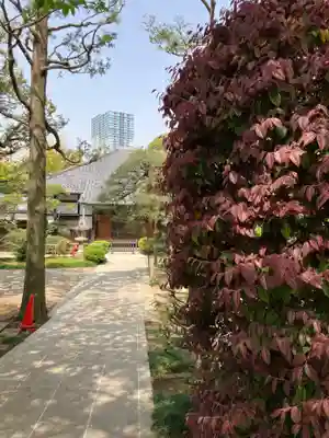 実相寺(東京都)