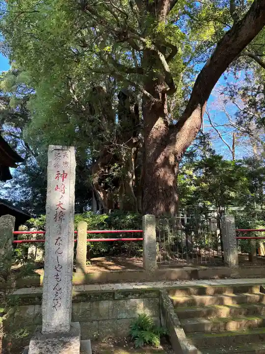 神崎神社(千葉県)