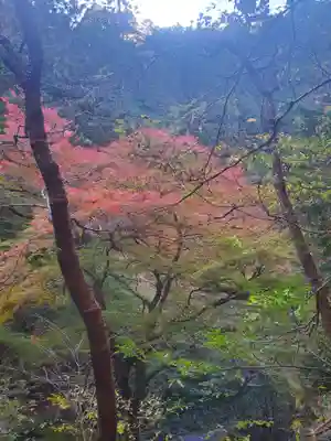 蓬莱神社の景色