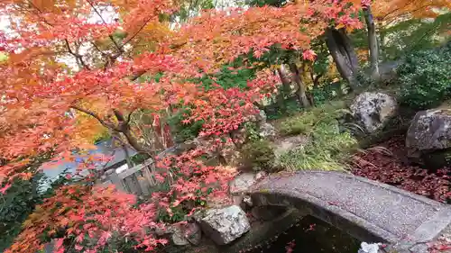 柳谷観音　楊谷寺の庭園