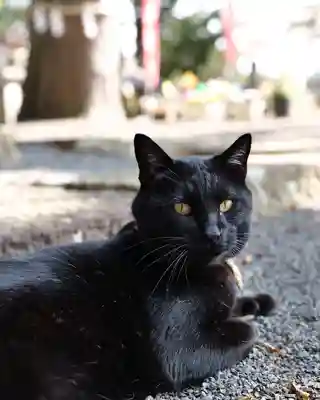 高司神社〜むすびの神の鎮まる社〜(福島県)
