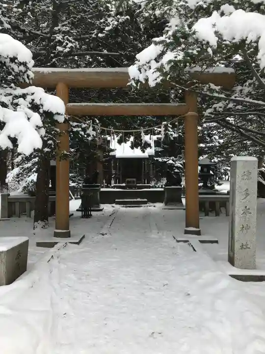 北海道神宮の鳥居
