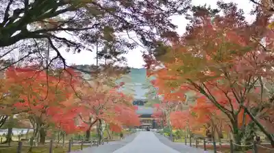 南禅寺のその他建物
