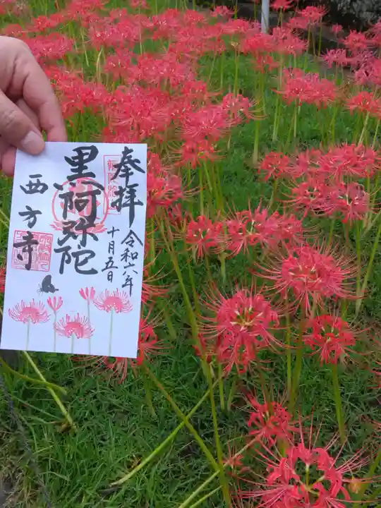 横浜 西方寺(神奈川県)