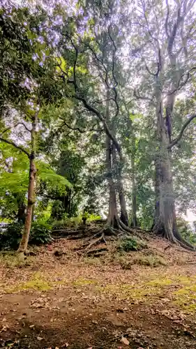 七百餘所神社 の歴史