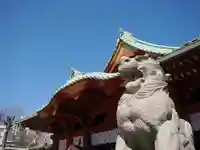 神田神社(神田明神)の狛犬